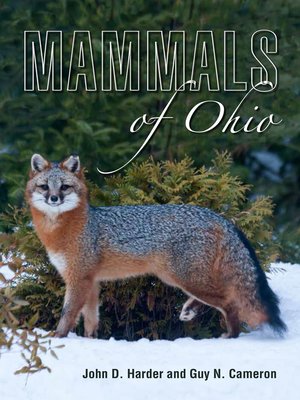 cover image of Mammals of Ohio